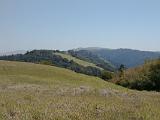 Russian Ridge 03